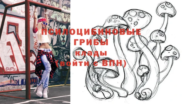 ешки Переславль-Залесский
