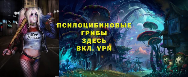ешки Переславль-Залесский
